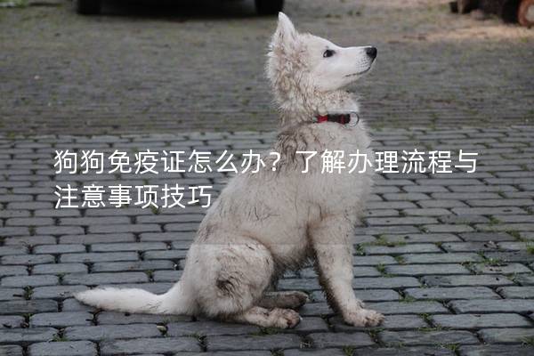 狗狗免疫證怎么辦？了解辦理流程與注意事項技巧