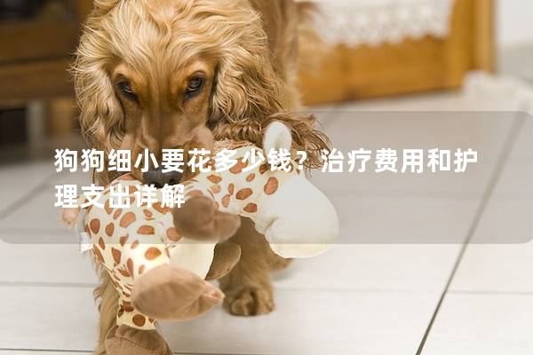 狗狗細小要花多少錢？治療費用和護理支出詳解