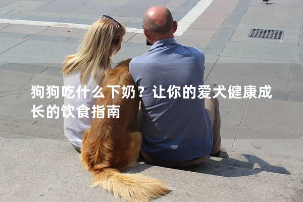 狗狗吃什么下奶？讓你的愛犬健康成長的飲食指南