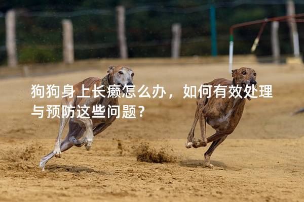 狗狗身上長癩怎么辦，如何有效處理與預(yù)防這些問題？