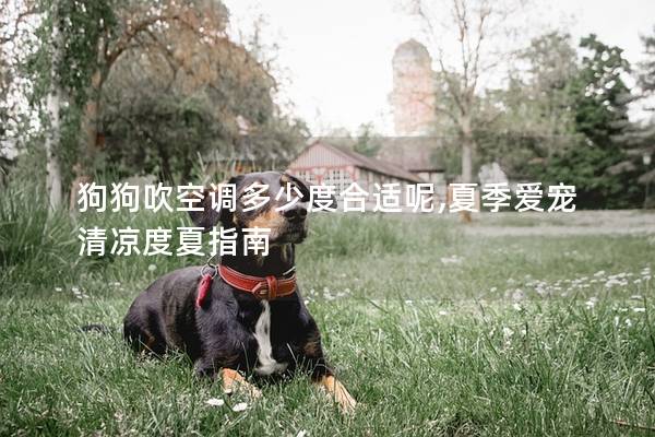 狗狗吹空調多少度合適呢,夏季愛寵清涼度夏指南