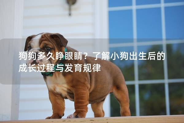 狗狗多久睜眼睛？了解小狗出生后的成長過程與發育規律