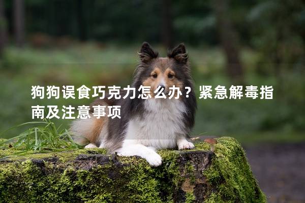 狗狗誤食巧克力怎么辦?緊急解毒指南及注意事項(xiàng)