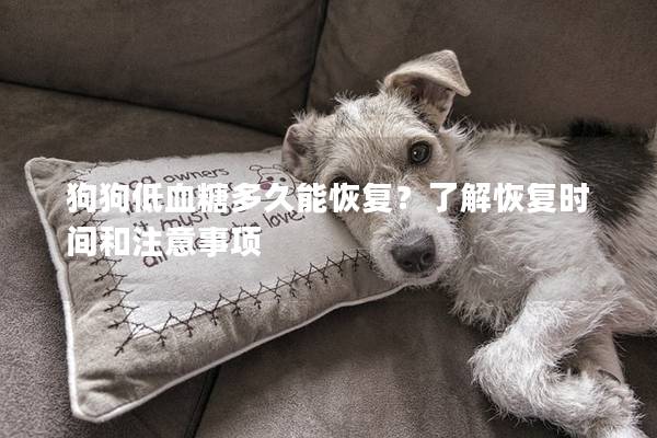 狗狗低血糖多久能恢復？了解恢復時間和注意事項