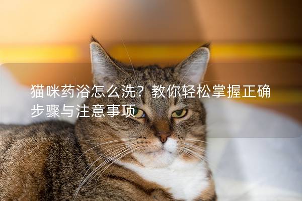 貓咪藥浴怎么洗？教你輕松掌握正確步驟與注意事項