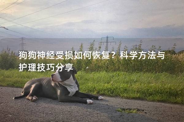 狗狗神經受損如何恢復？科學方法與護理技巧分享