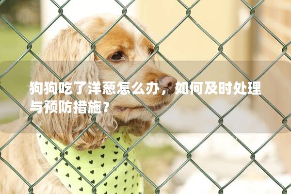 狗狗吃了洋蔥怎么辦，如何及時處理與預(yù)防措施？