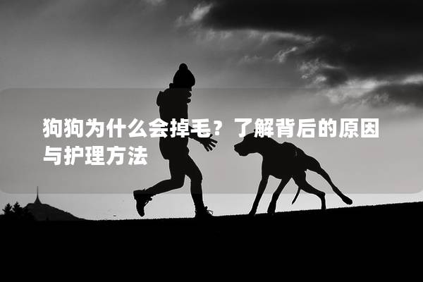 狗狗為什么會掉毛？了解背后的原因與護理方法