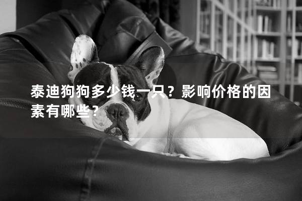 泰迪狗狗多少錢一只？影響價格的因素有哪些？