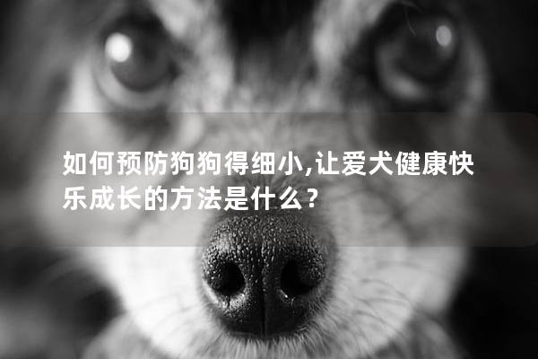 如何預防狗狗得細小,讓愛犬健康快樂成長的方法是什么？