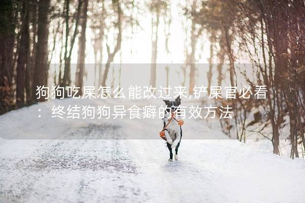 狗狗吃屎怎么能改過來,鏟屎官必看：終結狗狗異食癖的有效方法