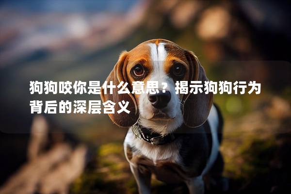 狗狗咬你是什么意思？揭示狗狗行為背后的深層含義