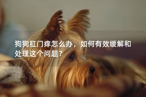 狗狗肛門癢怎么辦，如何有效緩解和處理這個問題？