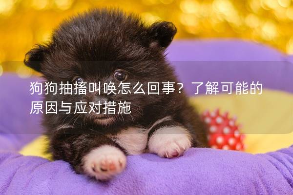 狗狗抽搐叫喚怎么回事？了解可能的原因與應對措施