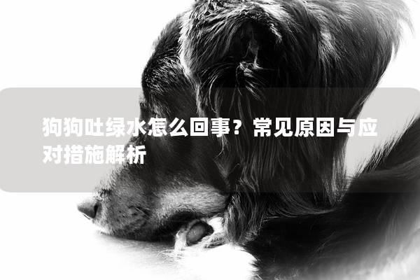 狗狗吐綠水怎么回事？常見原因與應對措施解析