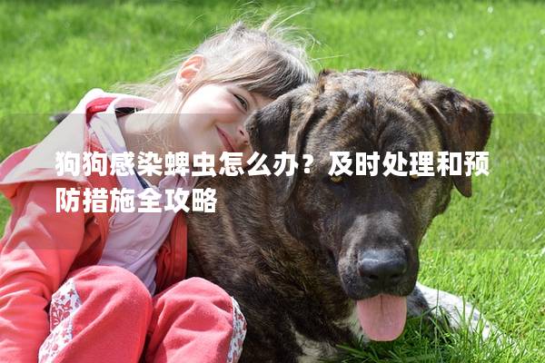 狗狗感染蜱蟲怎么辦？及時處理和預防措施全攻略