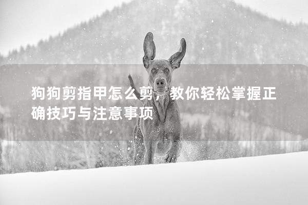 狗狗剪指甲怎么剪，教你輕松掌握正確技巧與注意事項