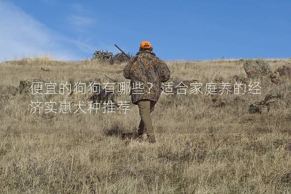 便宜的狗狗有哪些？適合家庭養(yǎng)的經(jīng)濟實惠犬種推薦