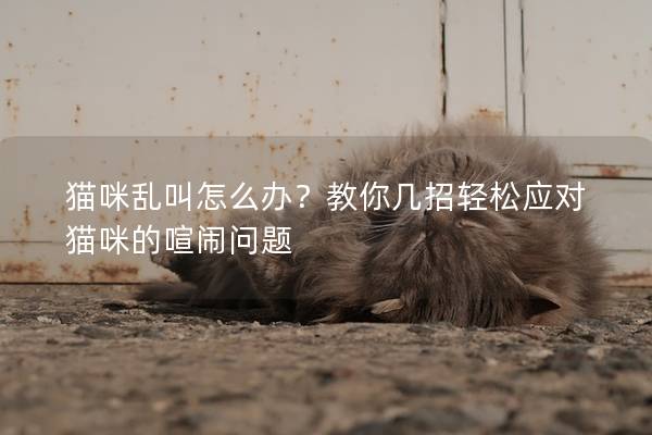 貓咪亂叫怎么辦？教你幾招輕松應對貓咪的喧鬧問題