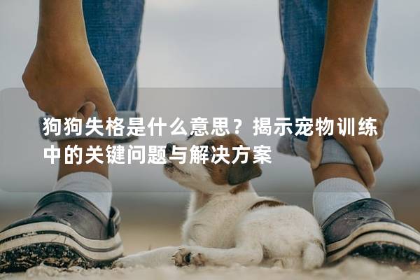 狗狗失格是什么意思？揭示寵物訓練中的關鍵問題與解決方案