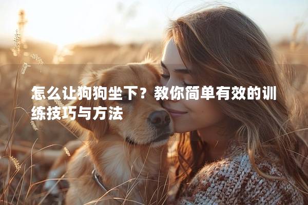 怎么讓狗狗坐下？教你簡單有效的訓練技巧與方法