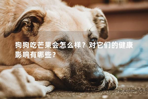 狗狗吃芒果會(huì)怎么樣？對(duì)它們的健康影響有哪些？