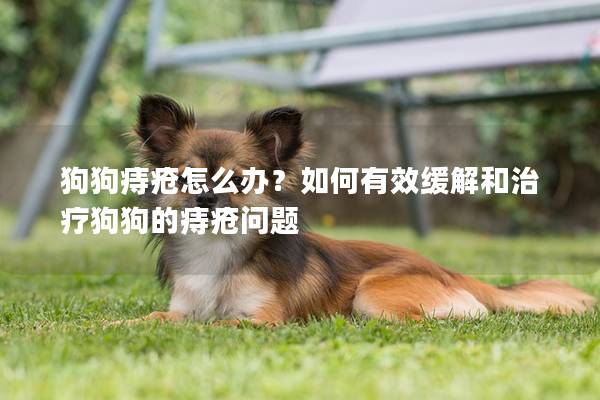 狗狗痔瘡怎么辦？如何有效緩解和治療狗狗的痔瘡問題