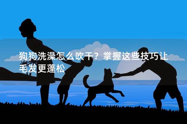 狗狗洗澡怎么吹干？掌握這些技巧讓毛發更蓬松