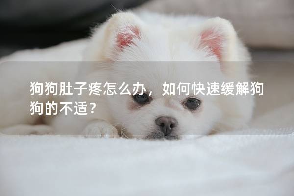 狗狗肚子疼怎么辦，如何快速緩解狗狗的不適？