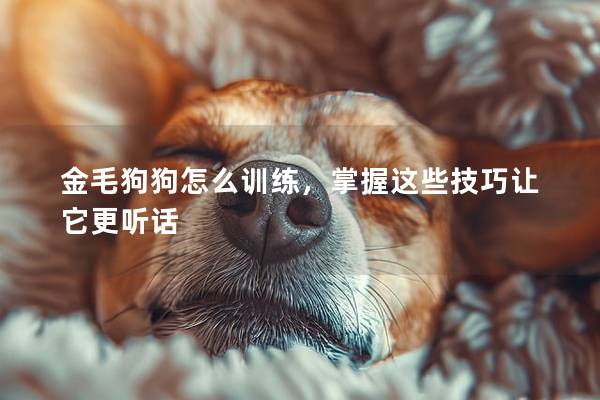 金毛狗狗怎么訓練，掌握這些技巧讓它更聽話