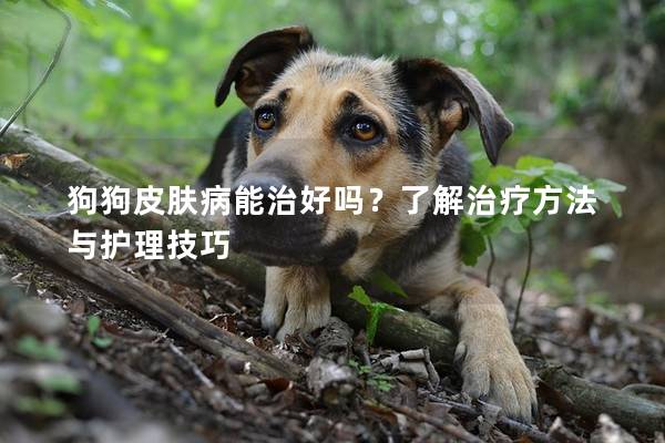 狗狗皮膚病能治好嗎？了解治療方法與護理技巧