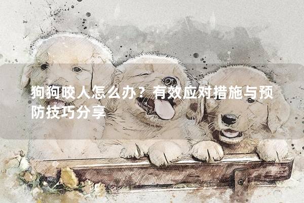 狗狗咬人怎么辦？有效應(yīng)對措施與預(yù)防技巧分享
