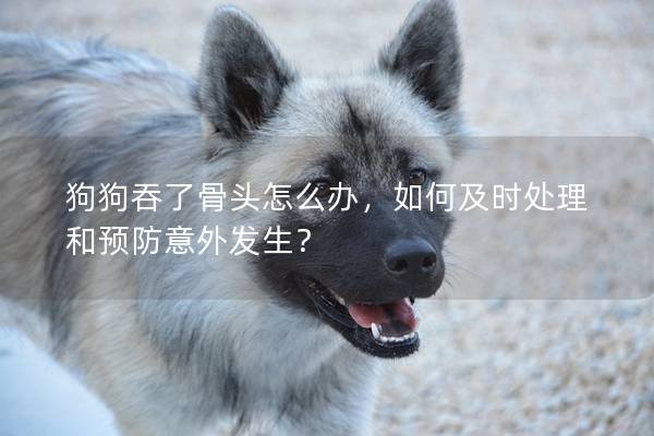 狗狗吞了骨頭怎么辦，如何及時處理和預防意外發生？