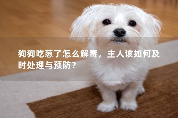 狗狗吃蔥了怎么解毒，主人該如何及時處理與預防？