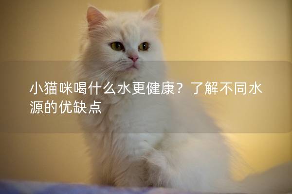小貓咪喝什么水更健康？了解不同水源的優(yōu)缺點
