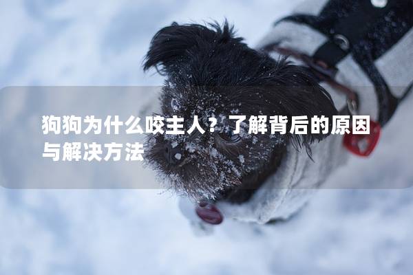 狗狗為什么咬主人？了解背后的原因與解決方法