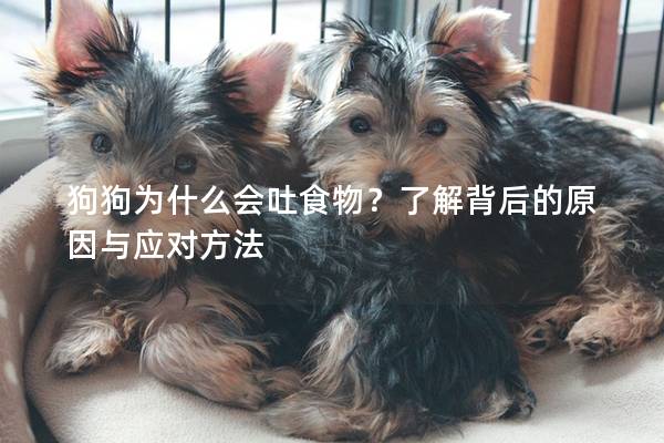 狗狗為什么會吐食物？了解背后的原因與應對方法