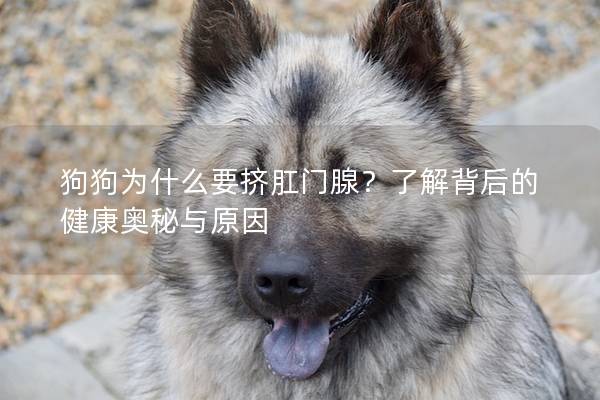 狗狗為什么要擠肛門腺?了解背后的健康奧秘與原因 狗狗為什么要擠肛門腺?了解背后的健康奧秘與原因