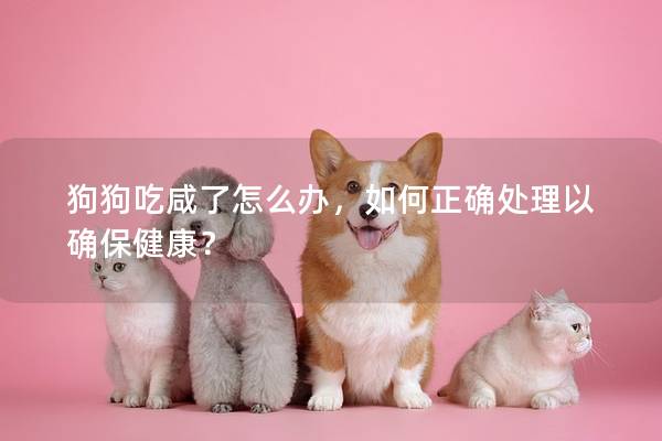 狗狗吃咸了怎么辦,如何正確處理以確保健康? 狗狗吃咸了怎么辦,如何正確處理以確保健康?