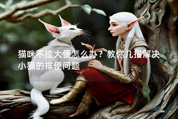 貓咪不拉大便怎么辦？教你幾招解決小貓的排便問題