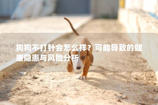 狗狗不打針會怎么樣？可能導(dǎo)致的健康隱患與風(fēng)險分析