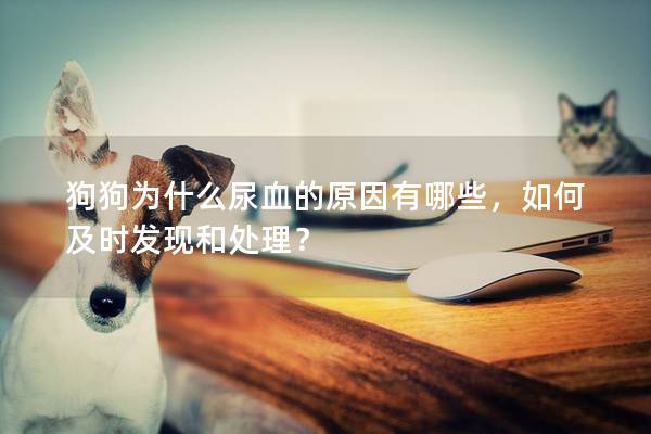 狗狗為什么尿血的原因有哪些，如何及時發現和處理？