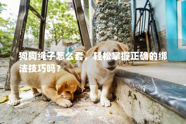 狗狗繩子怎么套,輕松掌握正確的綁法技巧嗎? 狗狗繩子怎么套,輕松掌握正確的綁法技巧嗎?