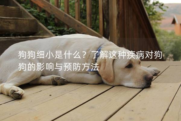 狗狗細(xì)小是什么？了解這種疾病對狗狗的影響與預(yù)防方法