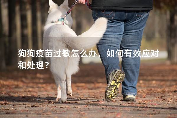 狗狗疫苗過敏怎么辦，如何有效應對和處理？