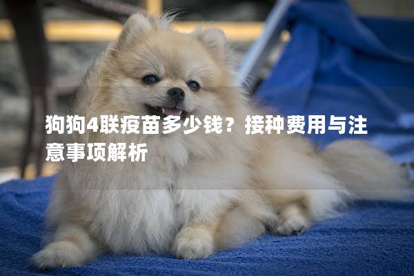 狗狗4聯疫苗多少錢？接種費用與注意事項解析