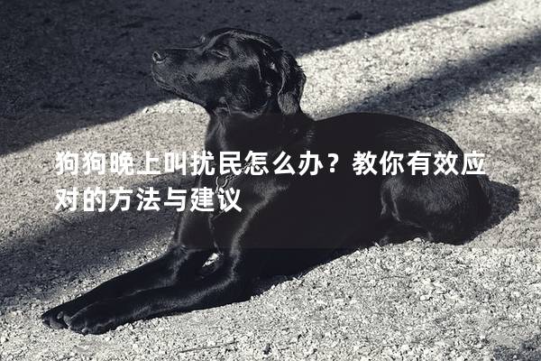 狗狗晚上叫擾民怎么辦？教你有效應對的方法與建議