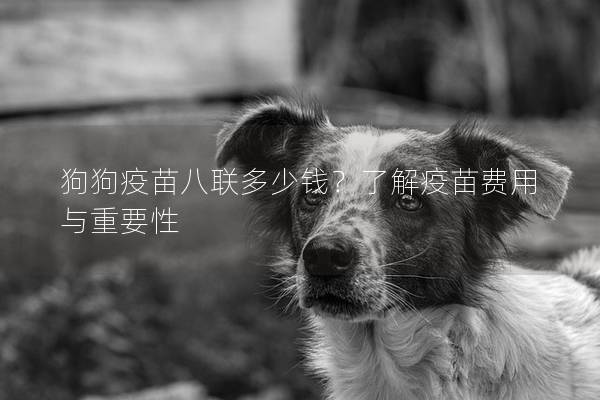 狗狗疫苗八聯多少錢？了解疫苗費用與重要性