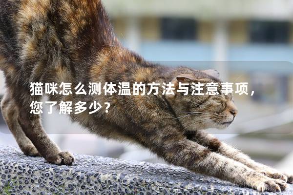 貓咪怎么測體溫的方法與注意事項(xiàng)，您了解多少？
