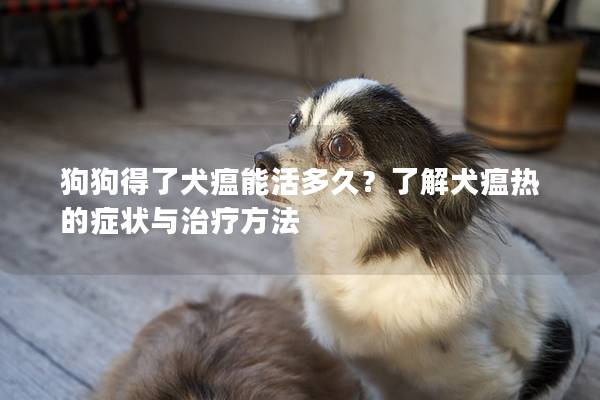 狗狗得了犬瘟能活多久？了解犬瘟熱的癥狀與治療方法